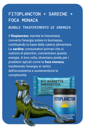 BUNDLE 1 MOBILE