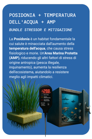 BUNDLE 2 MOBILE