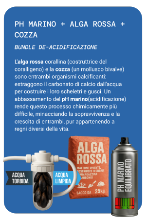 BUNDLE 3 MOBILE