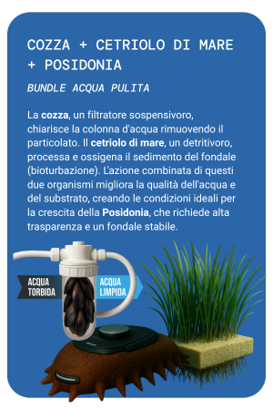 BUNDLE 4 MOBILE