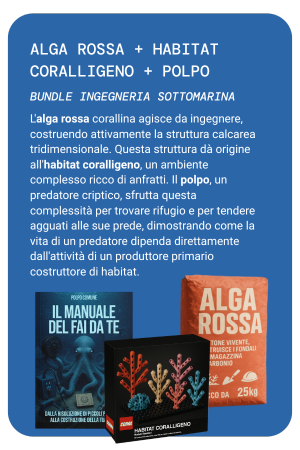 BUNDLE 5 MOBILE