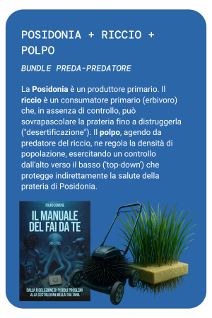 BUNDLE 6 MOBILE